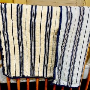 Pottery Barn Kids Chase blanket